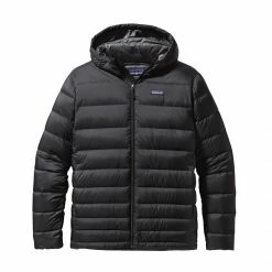 Patagonia Apparel Patagonia Hi-Loft Down Hoody MEN'S APPAREL