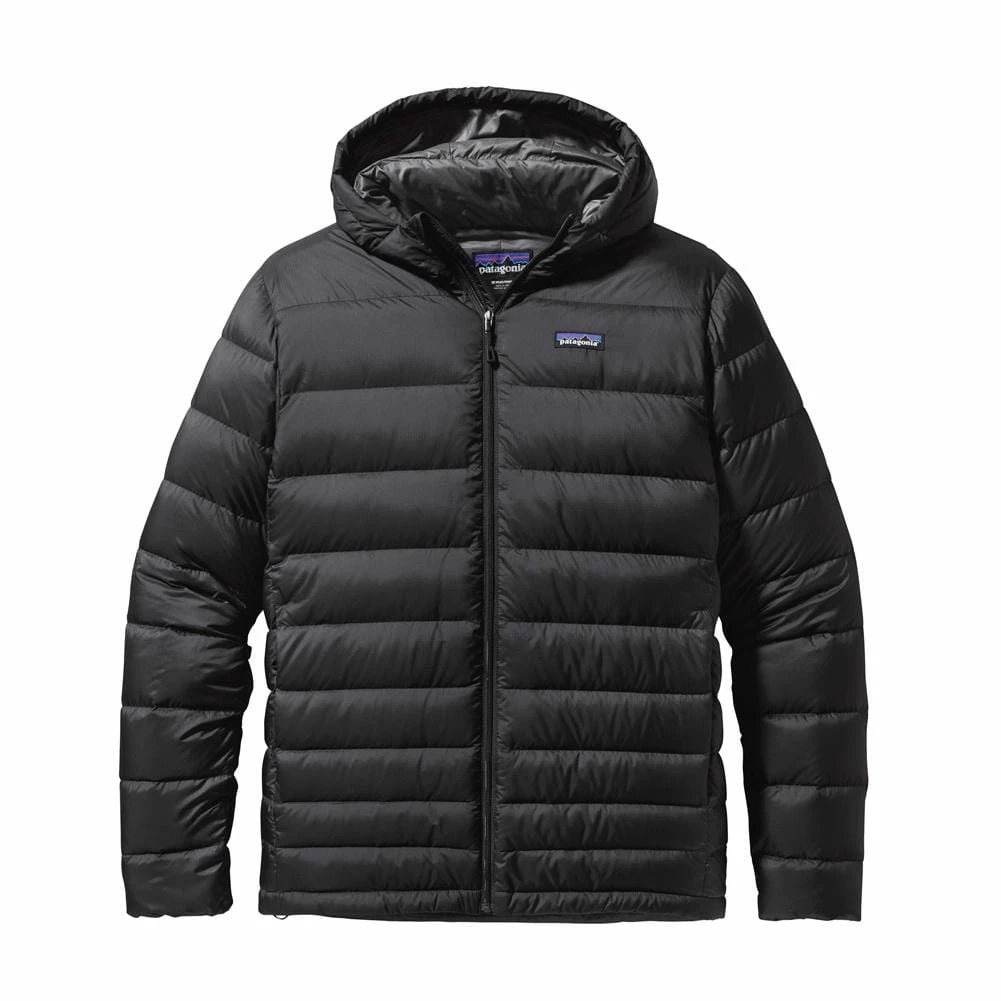 Patagonia Apparel Patagonia Hi-Loft Down Hoody MEN'S APPAREL