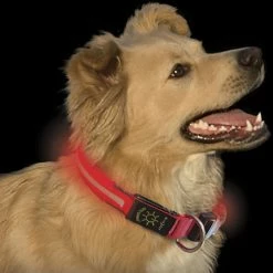 DOG GEAR NiteIze Nite Dawg Collar