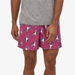 Patagonia Apparel Patagonia Baggies Shorts 5"