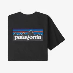 Patagonia Apparel Patagonia P-6 Logo Tee MEN'S APPAREL